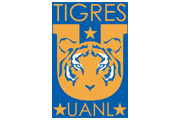 Tigres de la Universitad de Nuevo Leon, Mexico logo